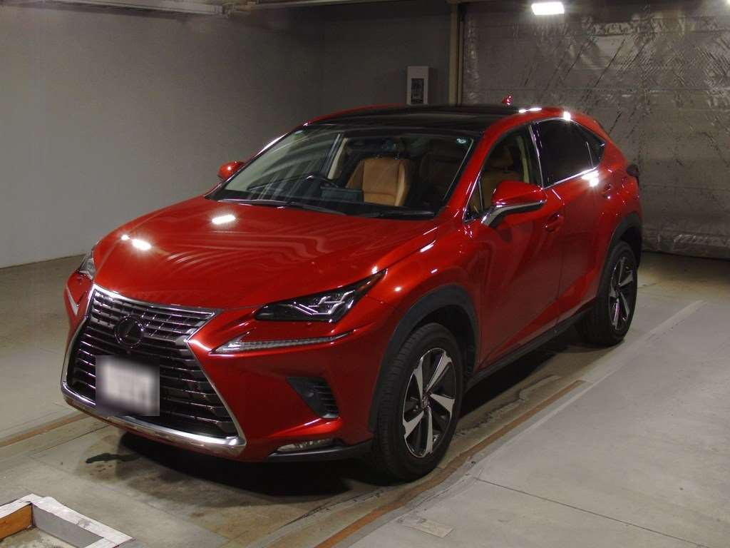 2020 Lexus NX AGZ10[0]