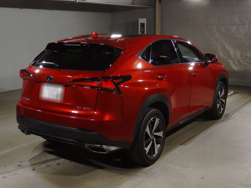 2020 Lexus NX AGZ10[1]