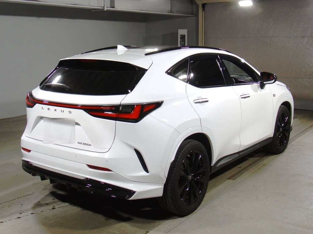 2021 Lexus NX AAZH20[1]