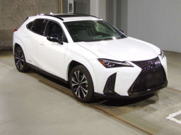 2021 Lexus UX