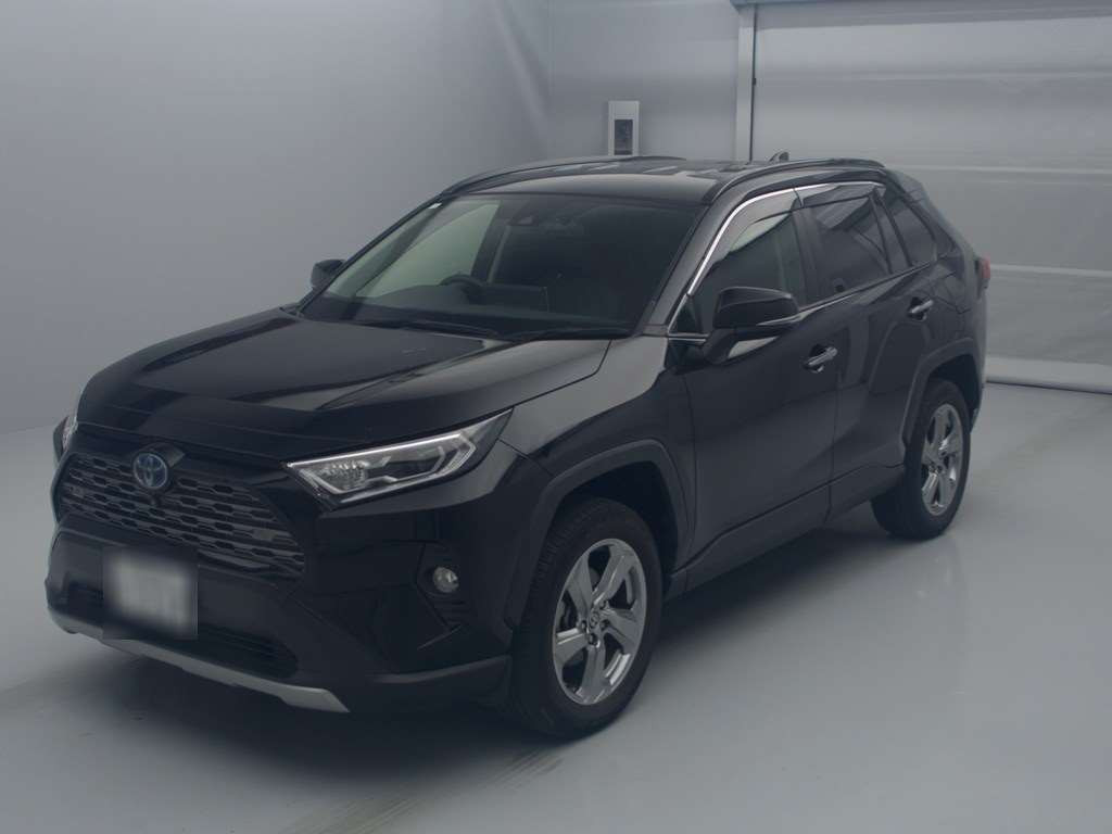 2020 Toyota RAV4 AXAH54[0]