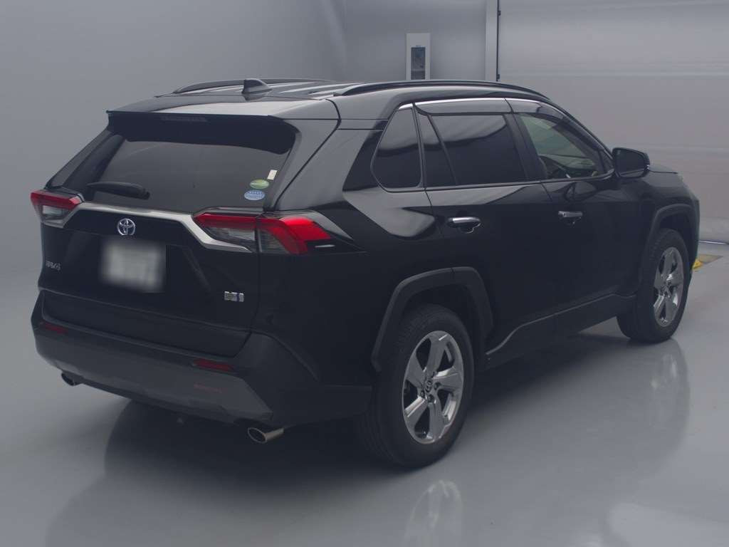 2020 Toyota RAV4 AXAH54[1]