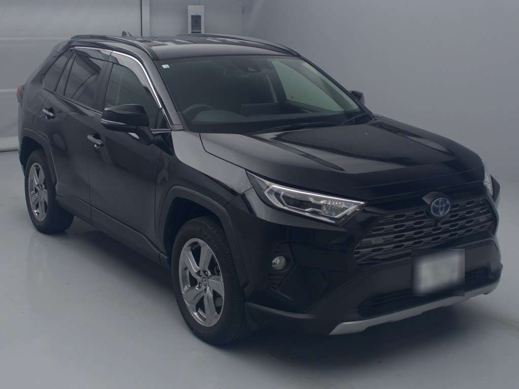 2020 Toyota RAV4 AXAH54[2]