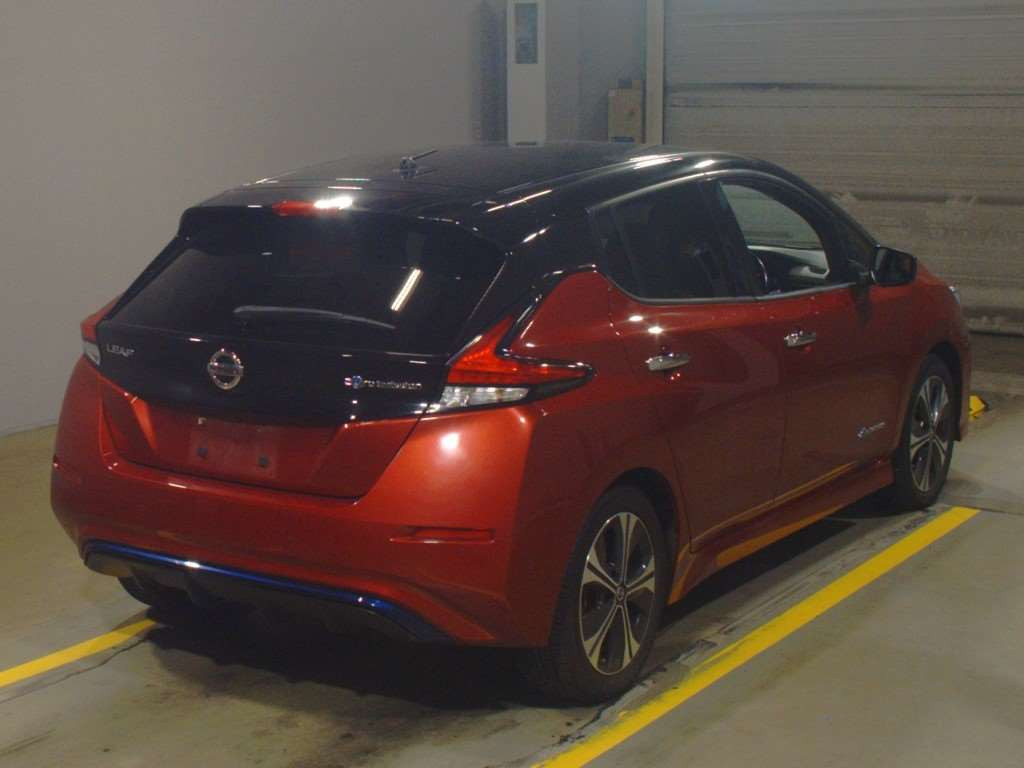 2019 Nissan Leaf ZE1[1]