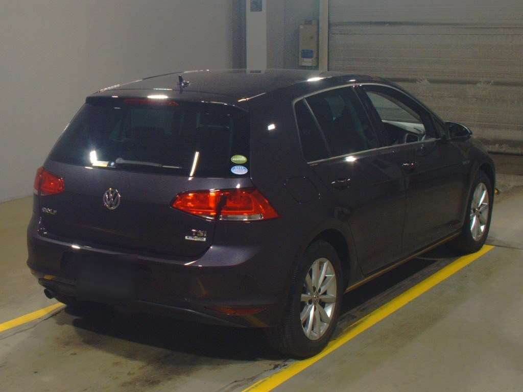 2015 Volkswagen Golf AUCJZ[1]