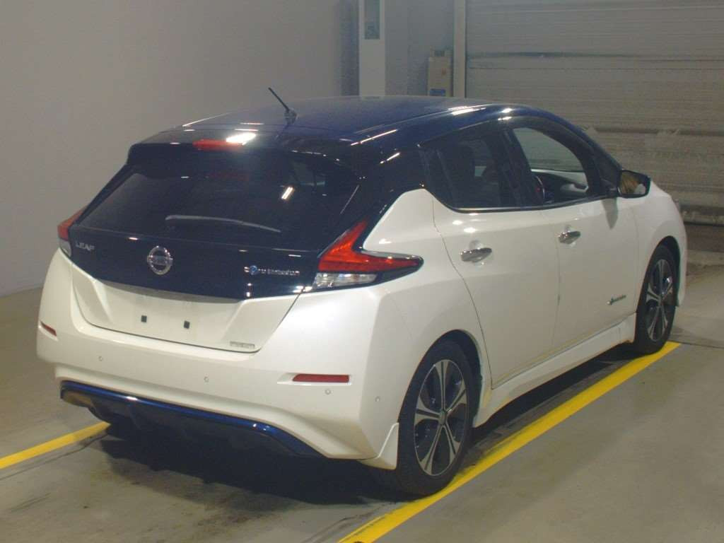 2018 Nissan Leaf ZE1[1]