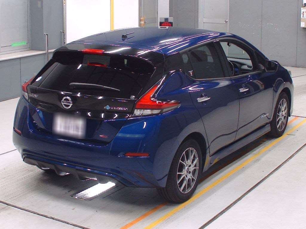 2018 Nissan Leaf ZE1[1]