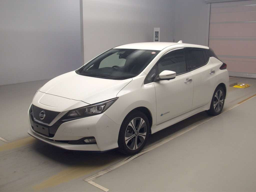 2020 Nissan Leaf ZE1[0]