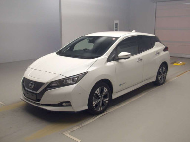 2020 Nissan Leaf