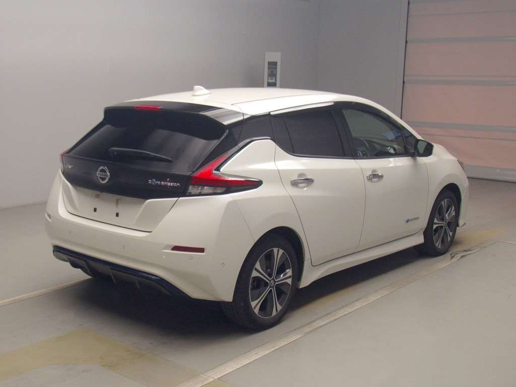 2020 Nissan Leaf ZE1[1]