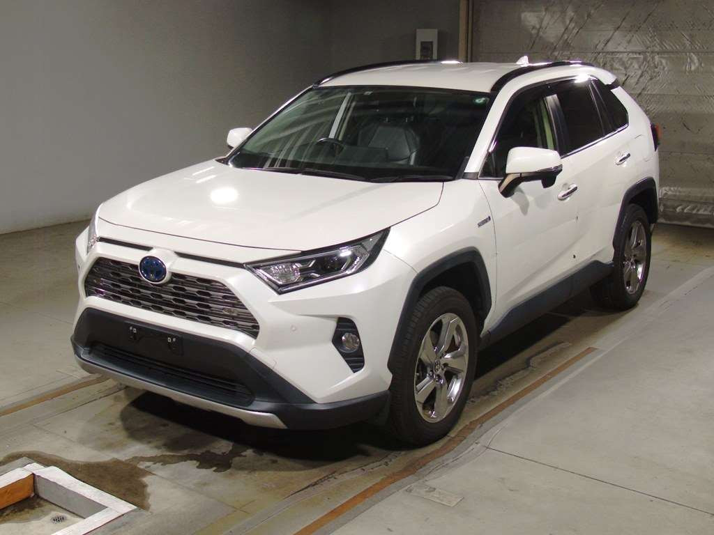 2020 Toyota RAV4 AXAH54[0]