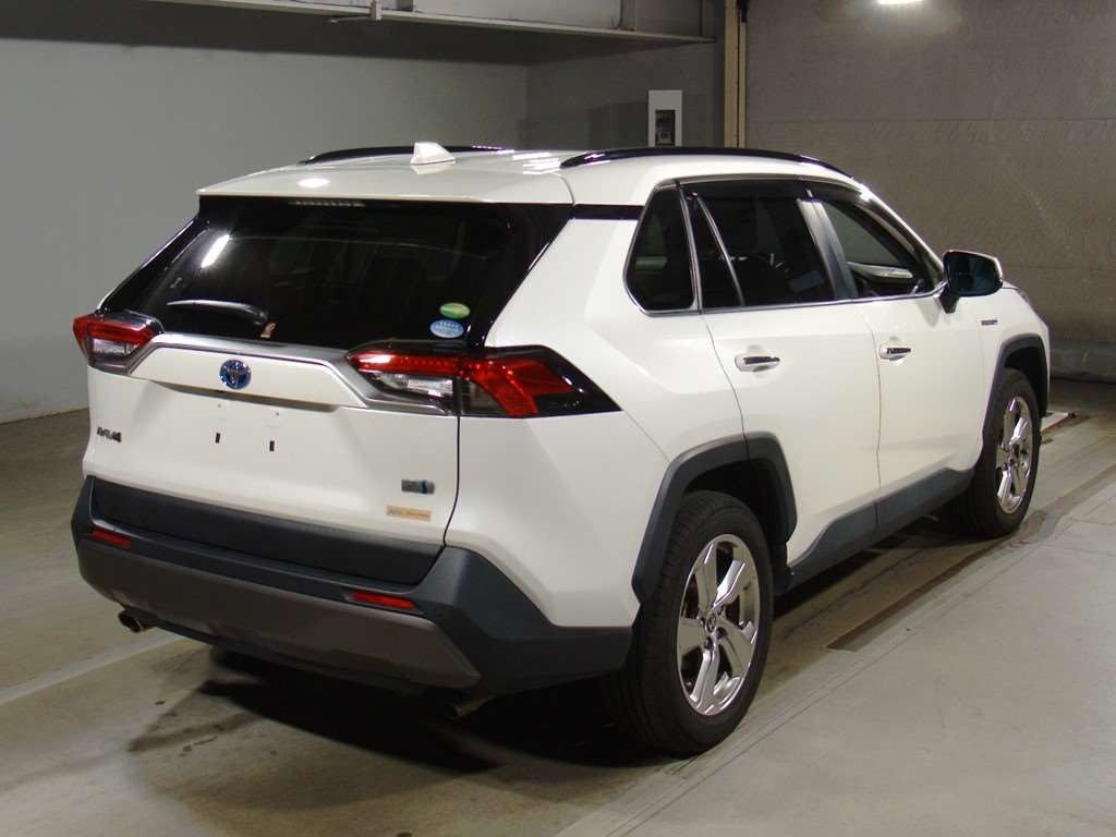 2020 Toyota RAV4 AXAH54[1]