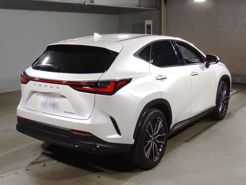 2022 Lexus NX AAZH20[1]