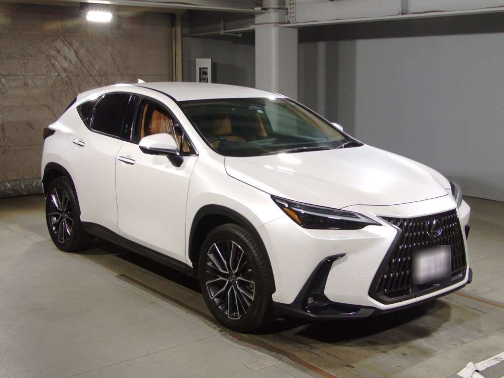 2022 Lexus NX AAZH20[2]