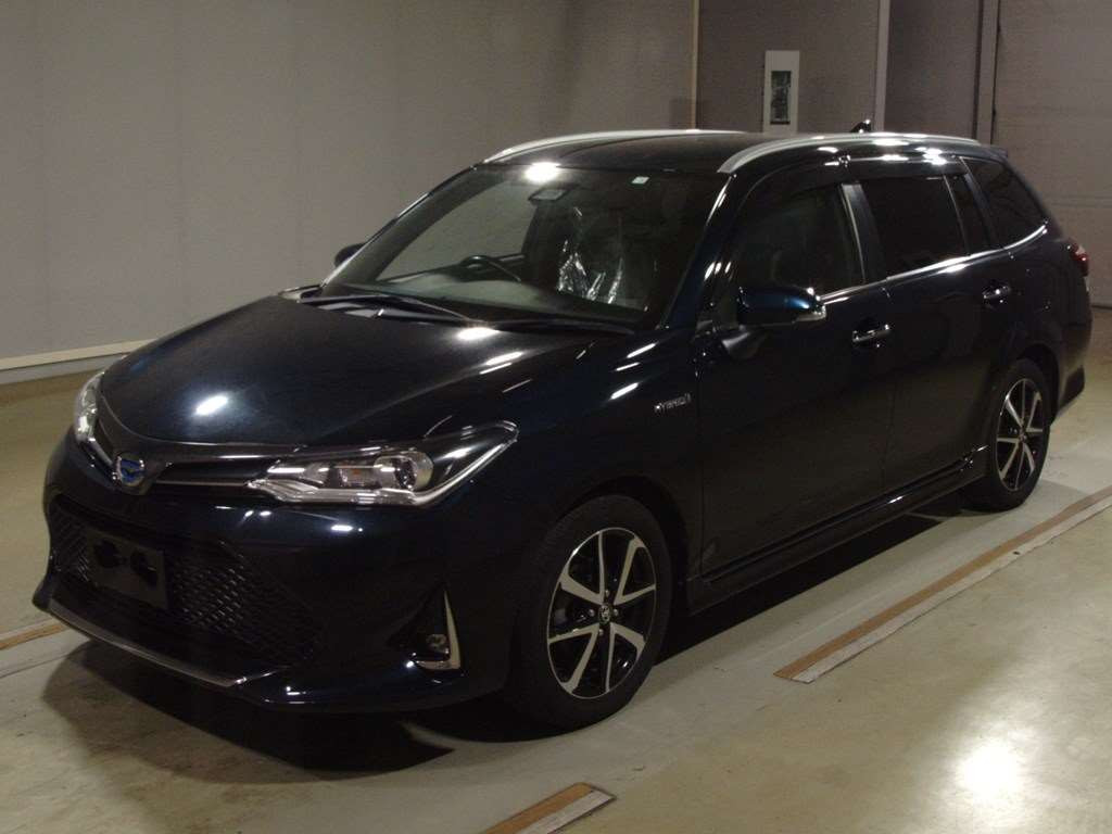 2018 Toyota Corolla Fielder NKE165G[0]