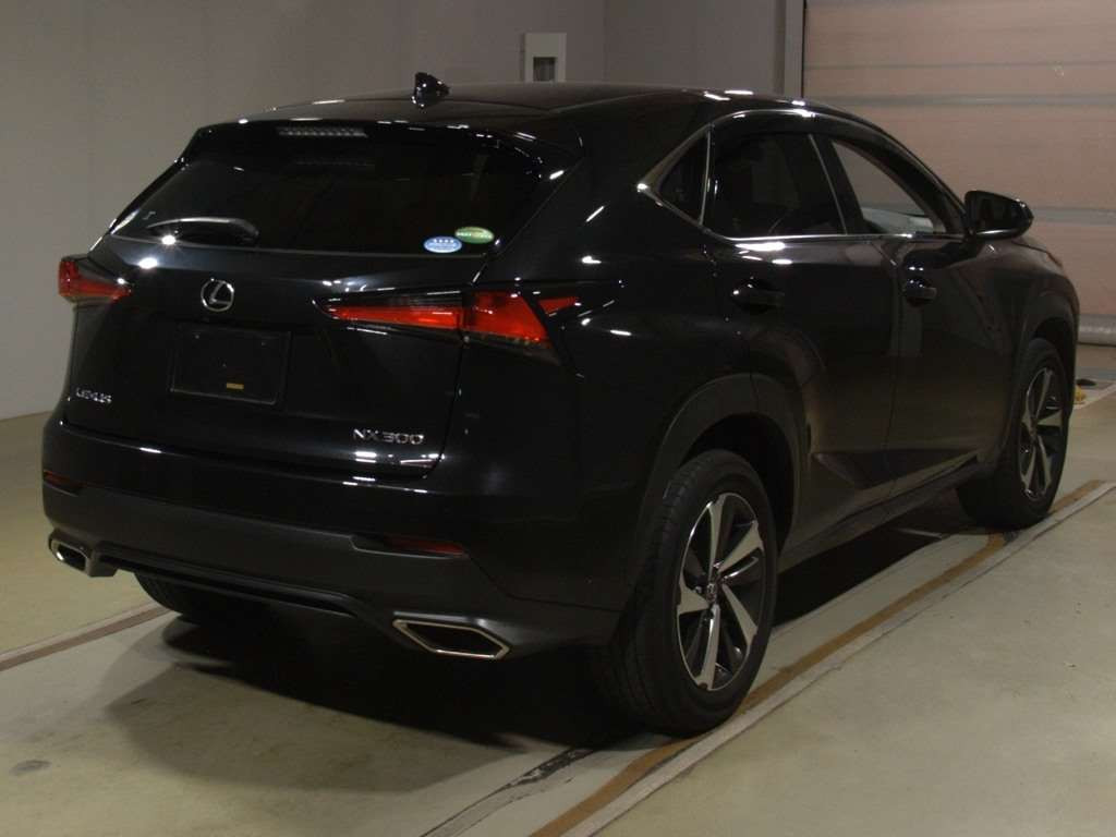 2017 Lexus NX AGZ10[1]