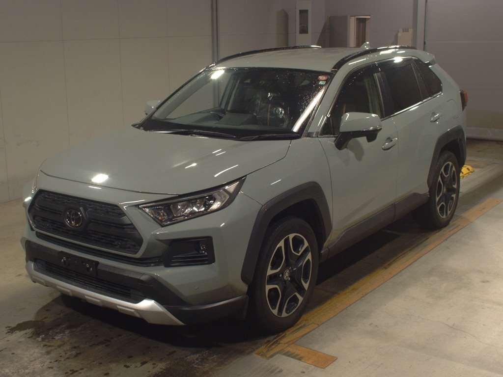 2019 Toyota RAV4 MXAA54[0]