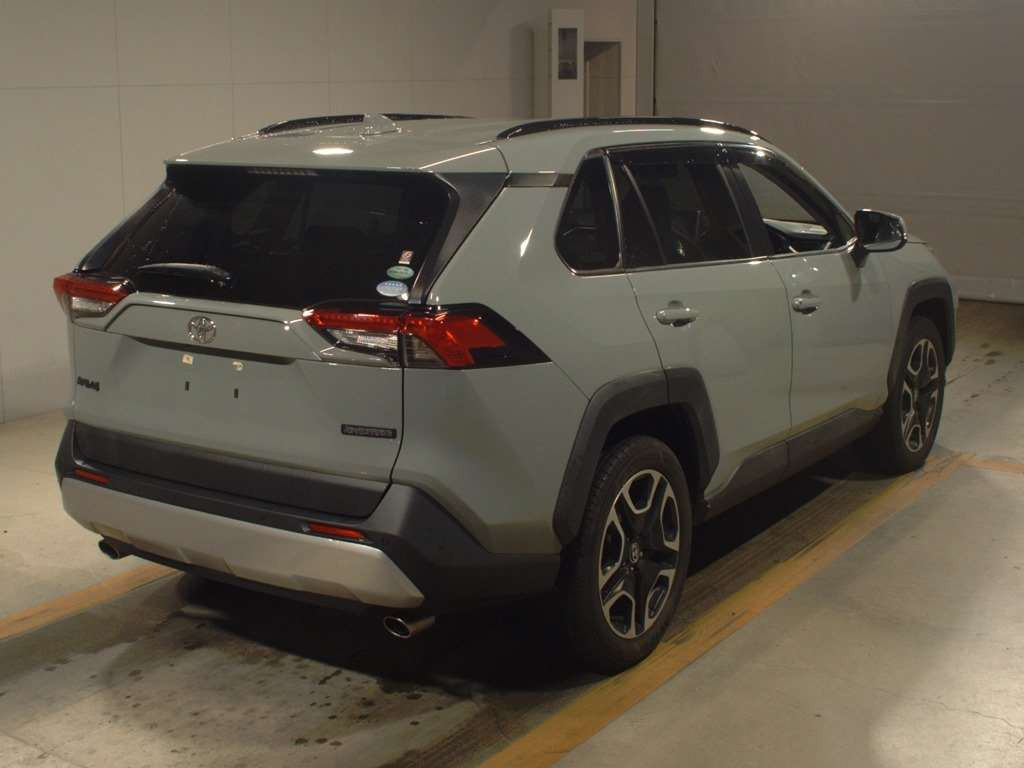 2019 Toyota RAV4 MXAA54[1]