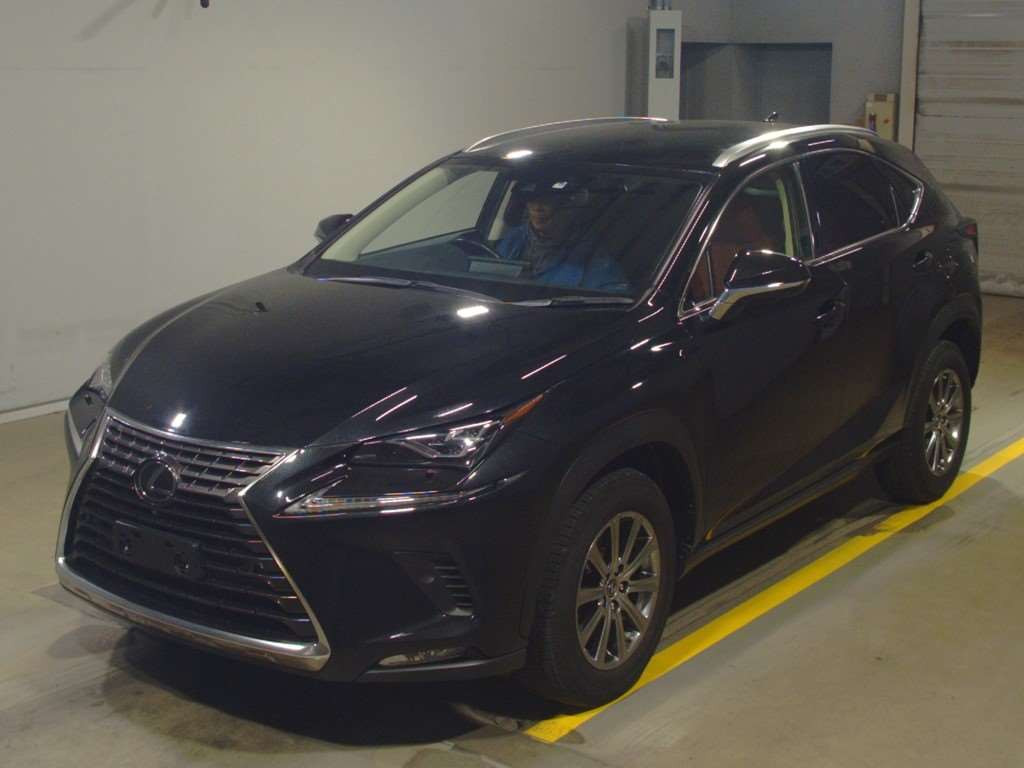 2019 Lexus NX AGZ10[0]