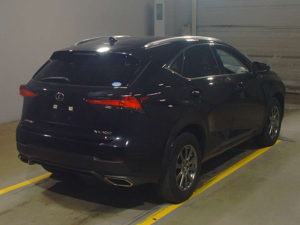 2019 Lexus NX AGZ10[1]