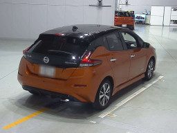 2020 Nissan Leaf