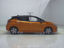 2020 Nissan Leaf