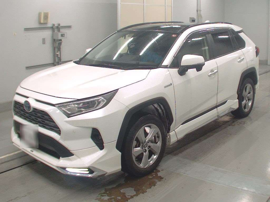 2019 Toyota RAV4 AXAH54[0]