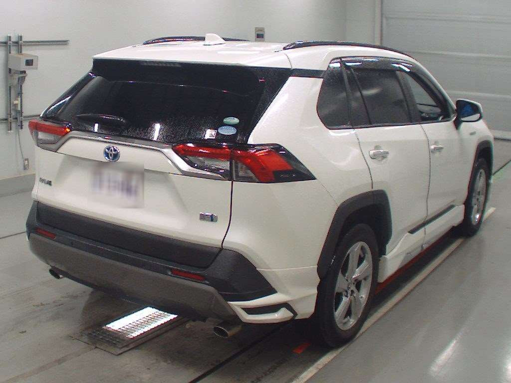 2019 Toyota RAV4 AXAH54[1]