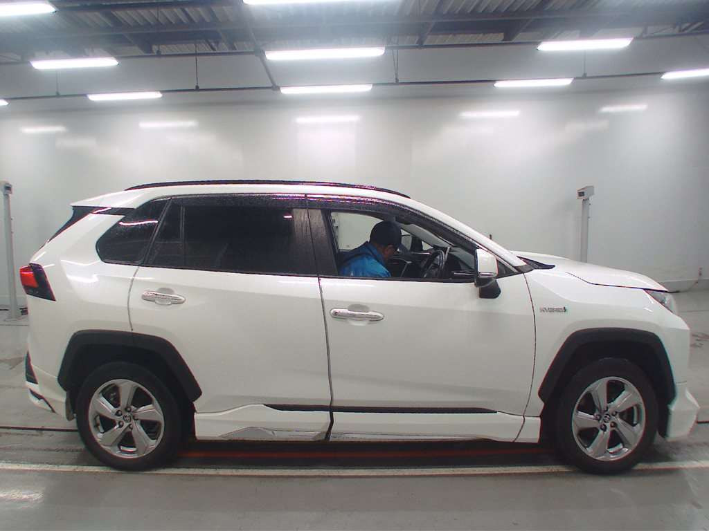 2019 Toyota RAV4 AXAH54[2]