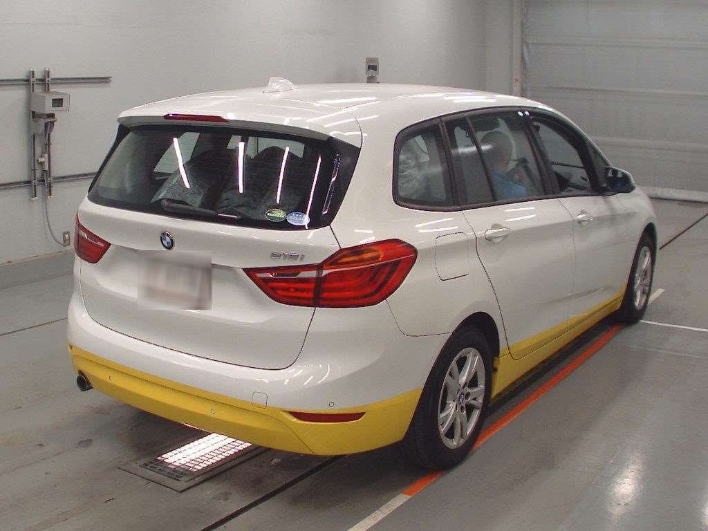 2015 BMW 2 Series 2D15[1]