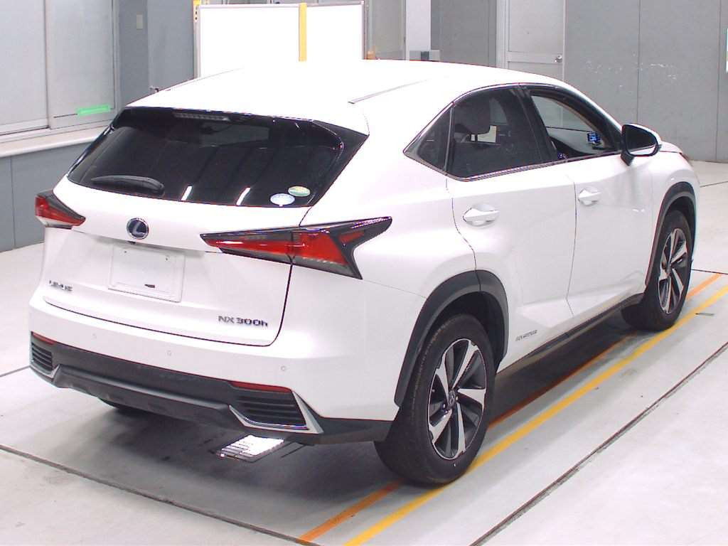 2020 Lexus NX AYZ15[1]