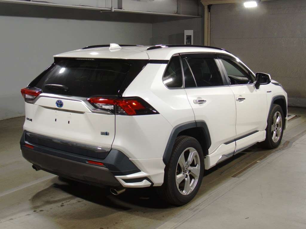 2019 Toyota RAV4 AXAH54[1]