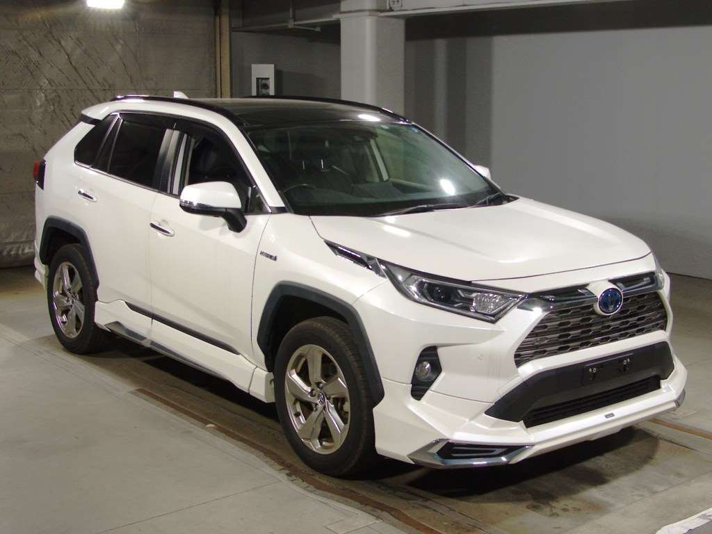 2019 Toyota RAV4 AXAH54[2]