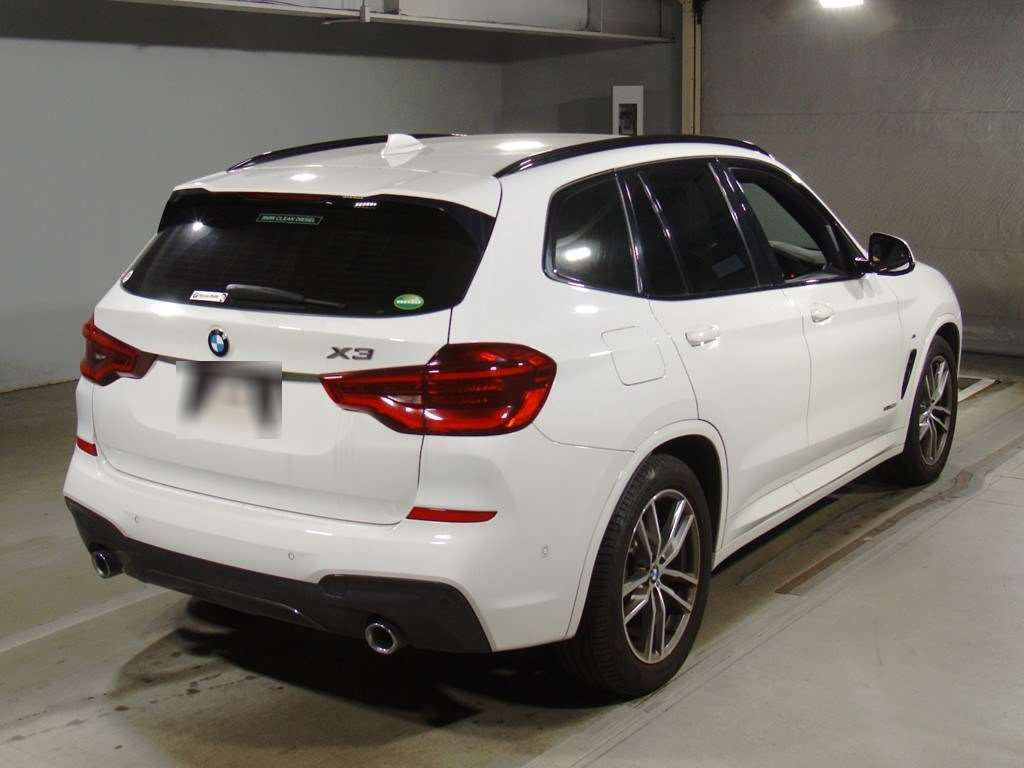 2018 BMW X3 TX20[1]