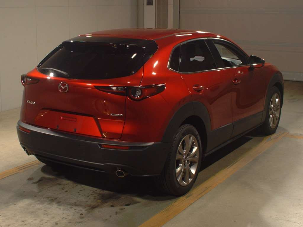 2019 Mazda CX-30 DMEP[1]