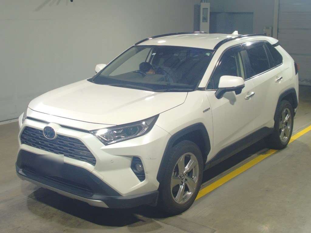 2019 Toyota RAV4 AXAH54[0]