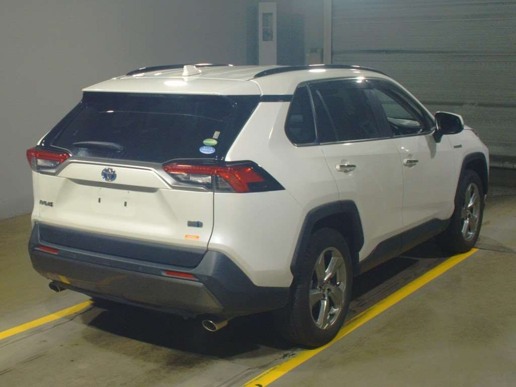 2019 Toyota RAV4 AXAH54[1]