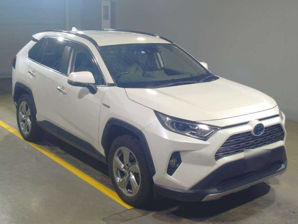 2019 Toyota RAV4 AXAH54[2]