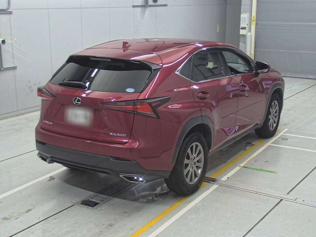 2018 Lexus NX AGZ10[1]