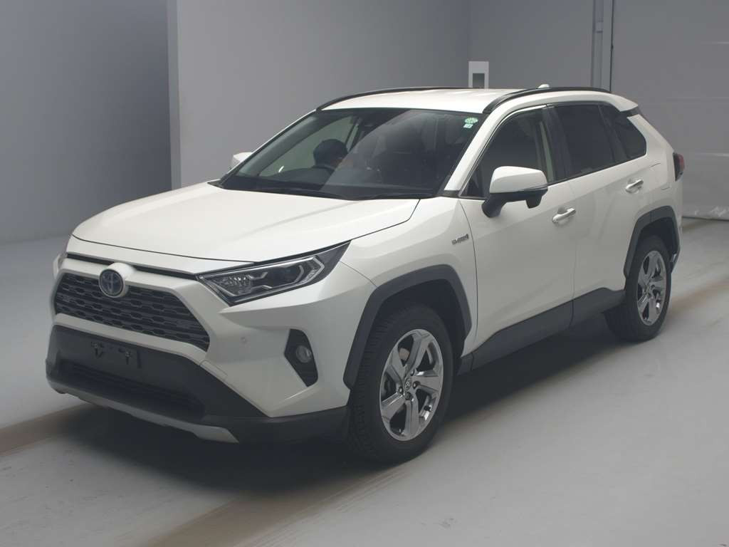 2020 Toyota RAV4 AXAH54[0]