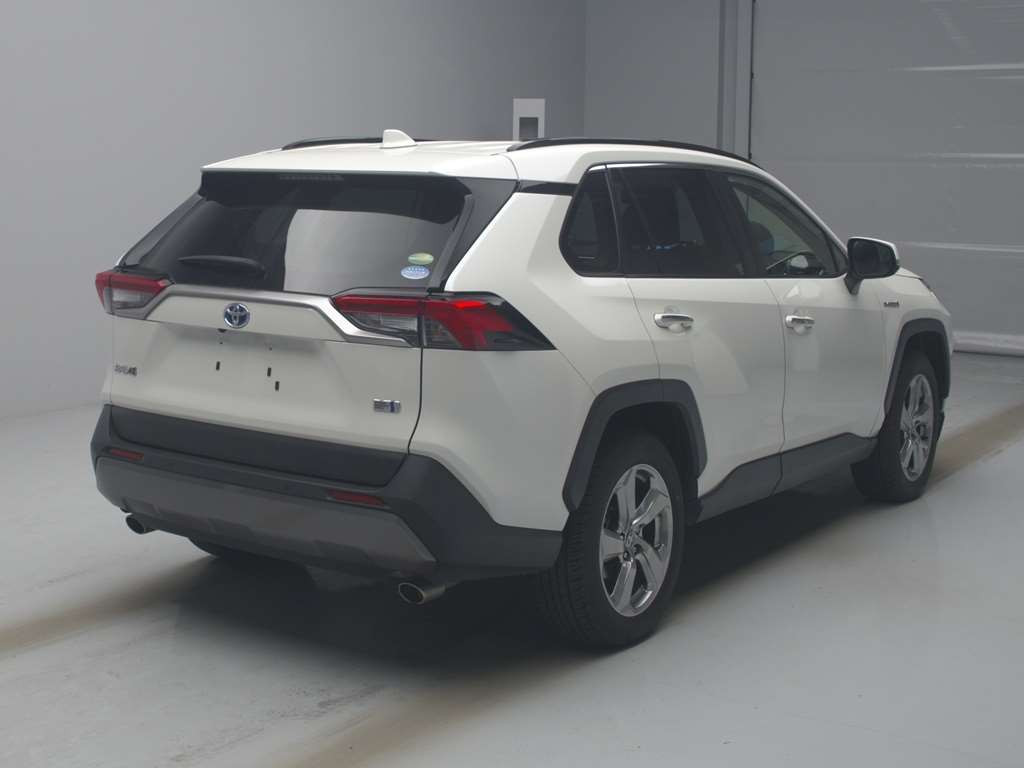 2020 Toyota RAV4 AXAH54[1]