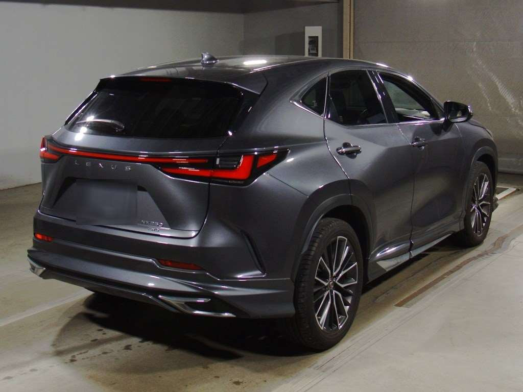 2022 Lexus NX AAZA25[1]