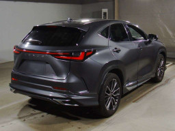 2022 Lexus NX