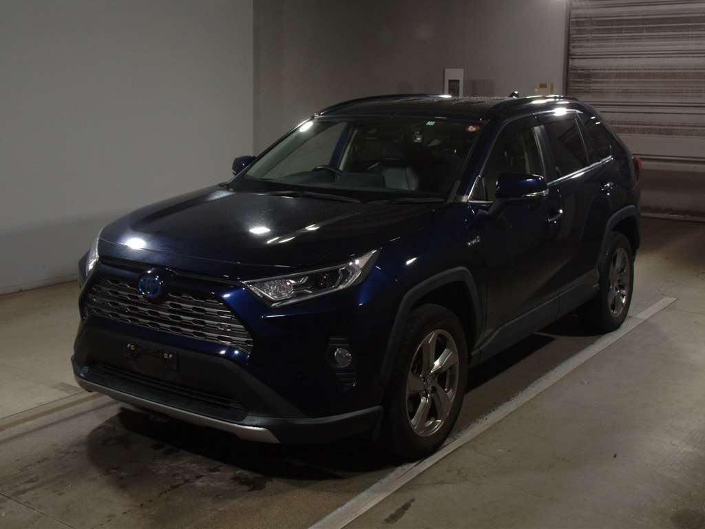 2019 Toyota RAV4 AXAH54[0]