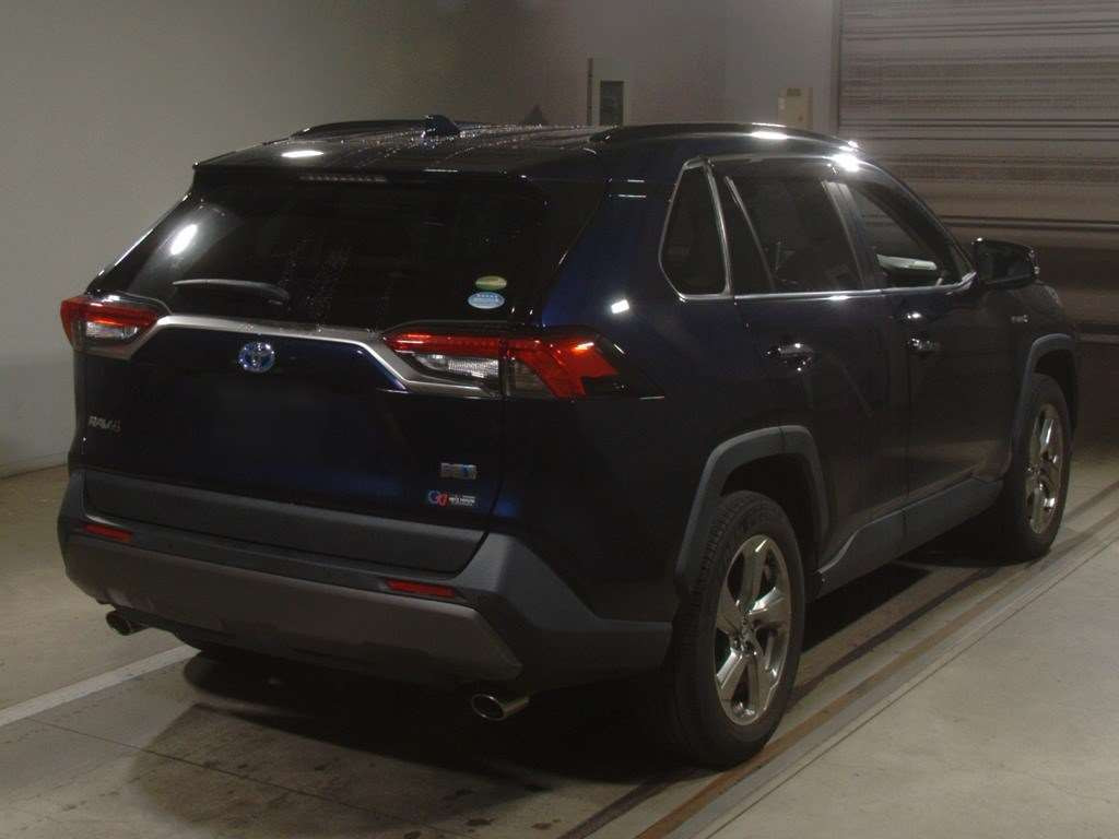 2019 Toyota RAV4 AXAH54[1]