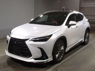 2023 Lexus NX