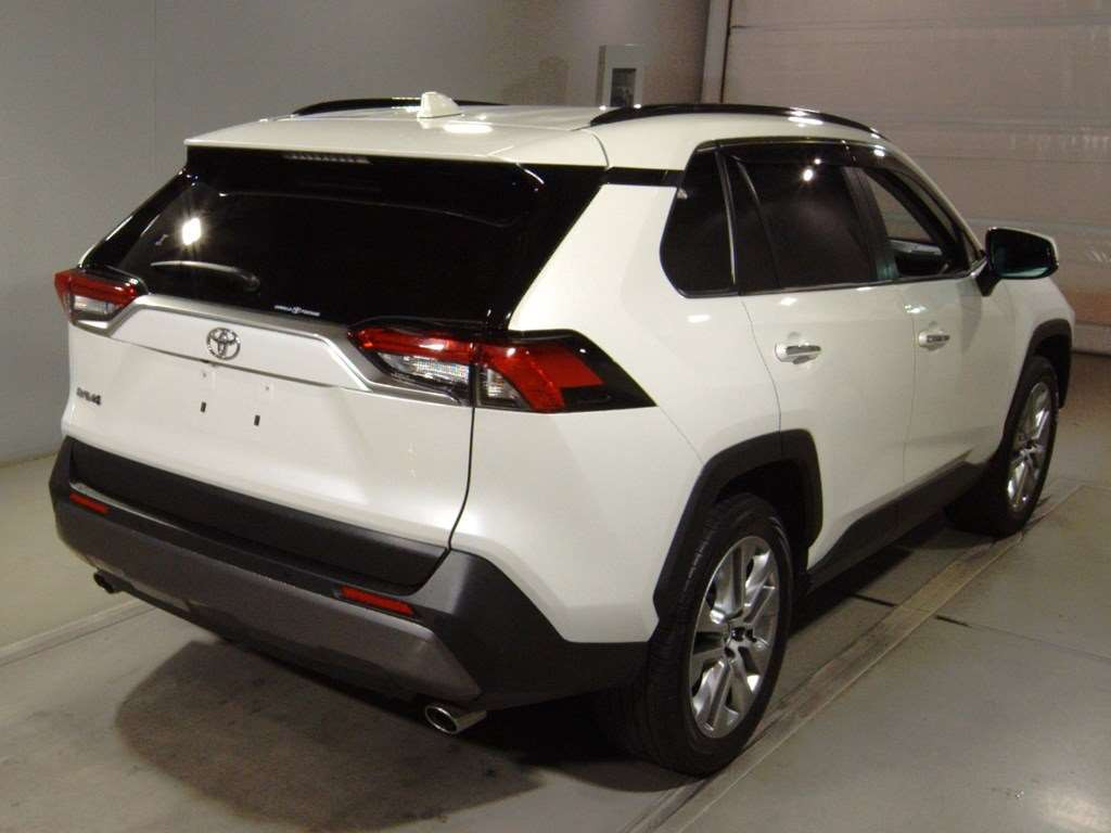 2019 Toyota RAV4 MXAA54[1]