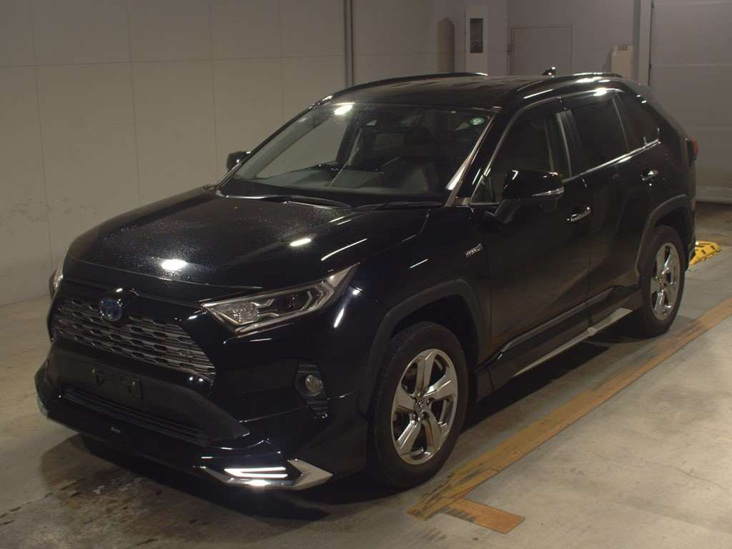 2019 Toyota RAV4 AXAH54[0]