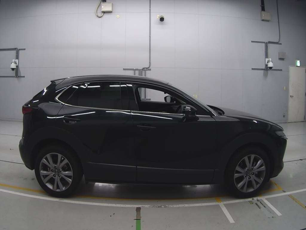 2020 Mazda CX-30 DMEP[2]