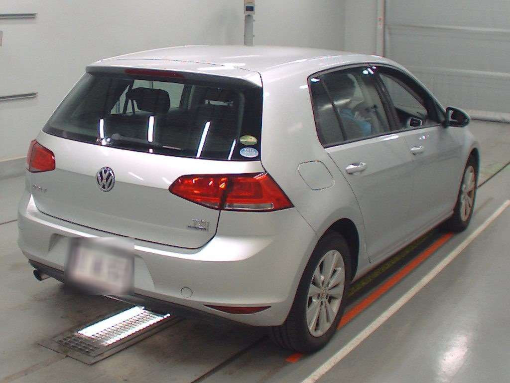 2013 Volkswagen Golf AUCJZ[1]